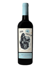 Вино Adegas Tollodouro, `Pontellon` Albarino 13% (0,75L)