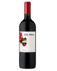 Вино Villa Andina Cabernet Sauvignon Syrah 14% (0,75L)